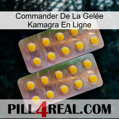 Commander De La Gelée Kamagra En Ligne new10